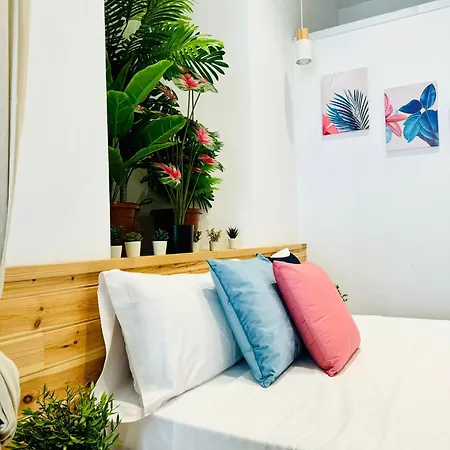 & Cozy Flat Close The Daire